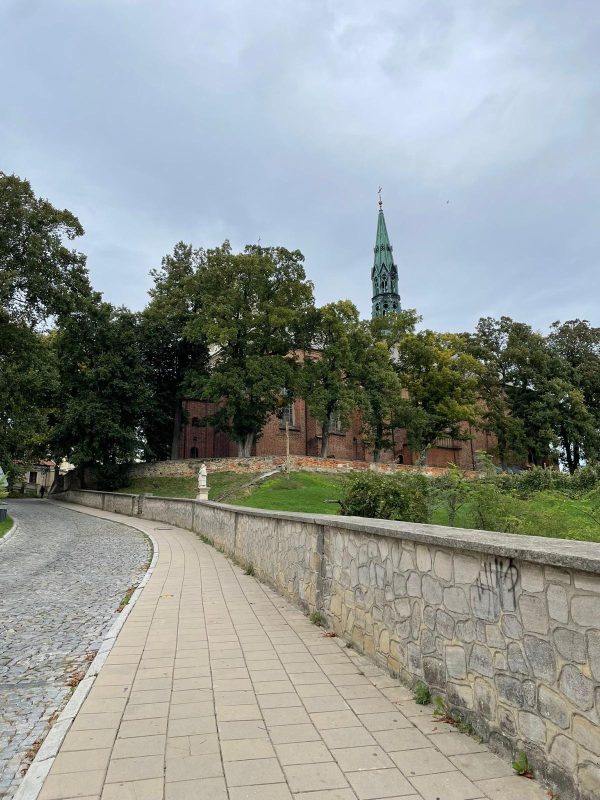 PHOTO-2025-03-17-19-50-46 2